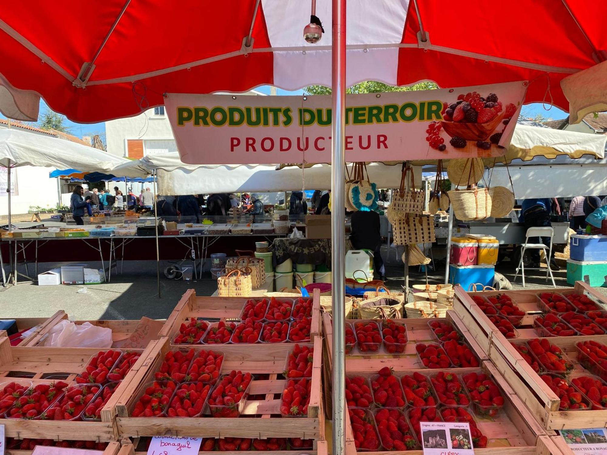 La Maison Du Parc Saint-Vite 외부 사진